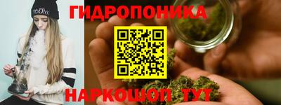 мяу мяу мука Лесосибирск