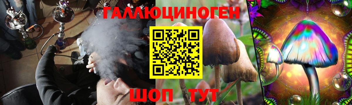 Галлюциногенные грибы GOLDEN TEACHER Черногорск