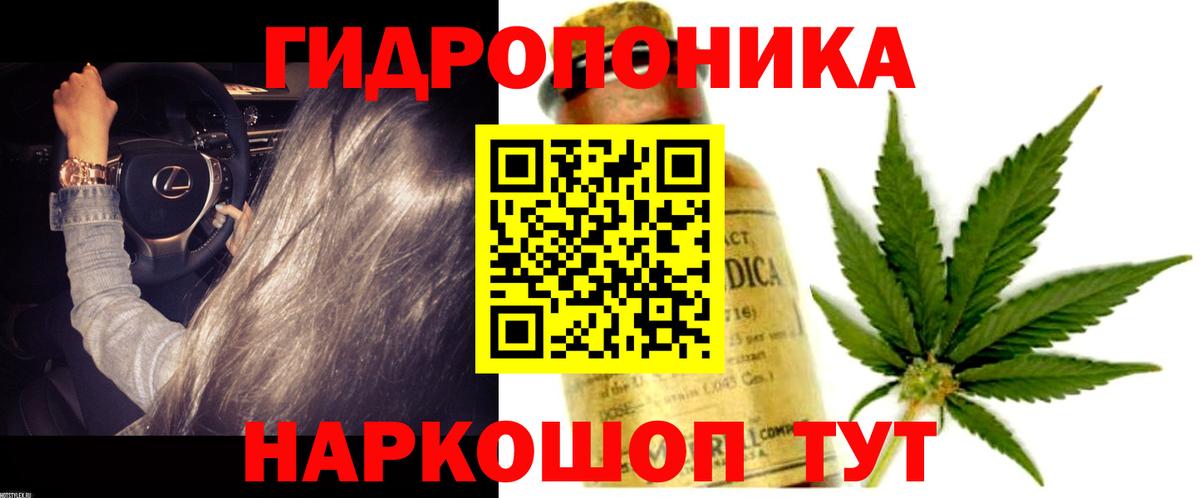 Каннабис план Черногорск